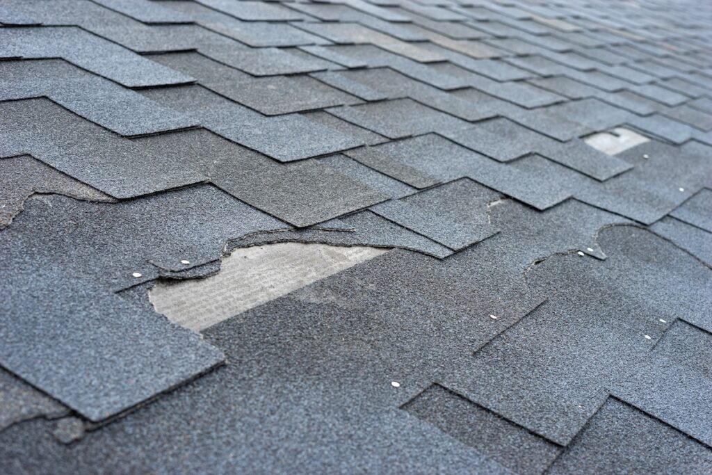 types of roof damage Сlose up view of asphalt shingles roof damage that needs repair.